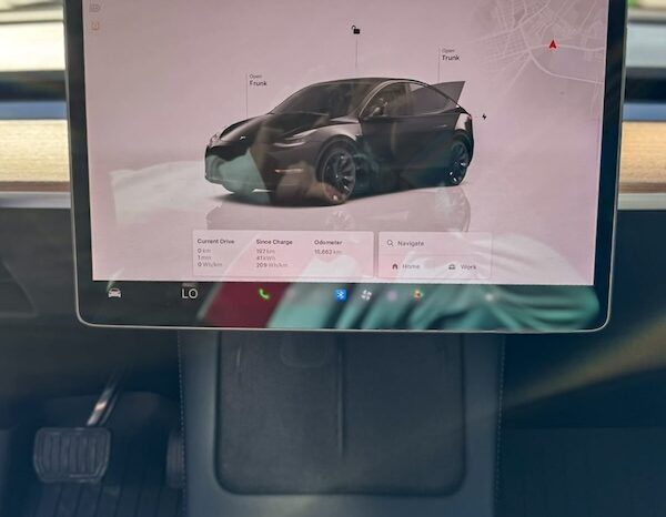 Tesla Model (Autonomia M/4WD) 2022 lleno