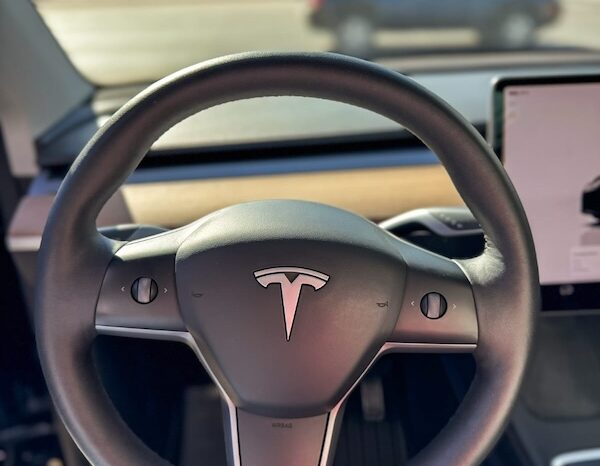 Tesla Model (Autonomia M/4WD) 2022 lleno