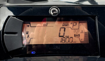 CAN AM XRC 2026 lleno