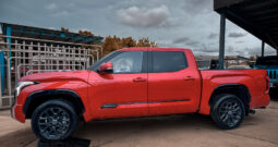 TOYOTA TUNDRA PLATINUM 2024